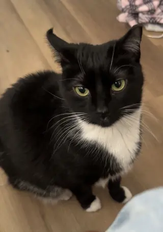 Pepper