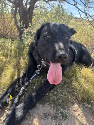 BORIS #3