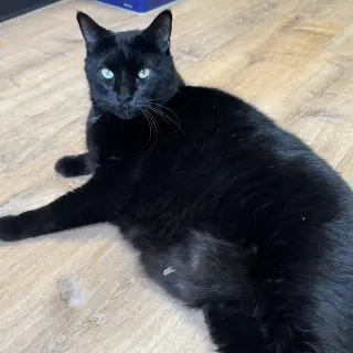 Biggie