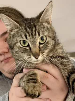 CAT - Isabella