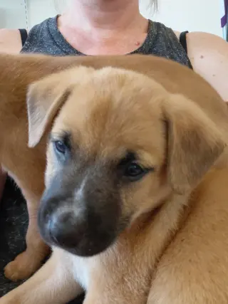 Leonard - Big Bang Litter