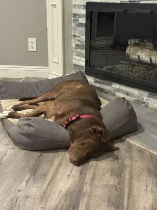 Rosie