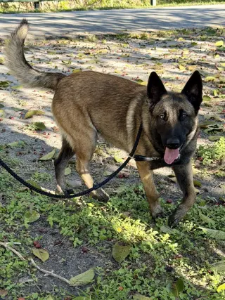 Star - Located in Florida