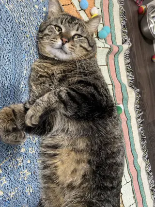Big Mac