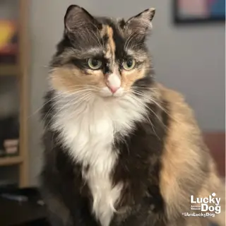 Ellie
