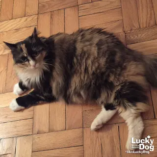 Ellie