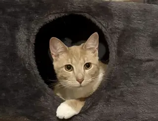 Pavlo =^.^=