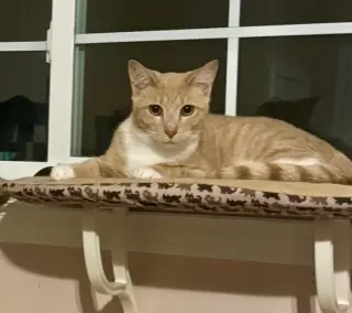 Pavlo =^.^=