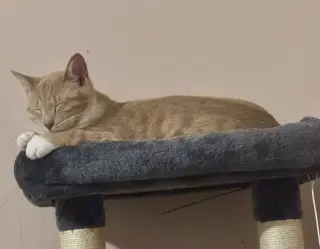 Pavlo =^.^=