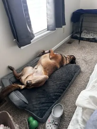 Copper
