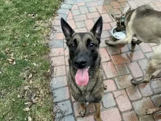 Copper
