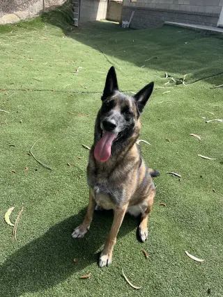 Copper