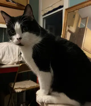 Eddie