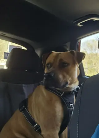Rico
