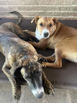 Ben - Beautiful boy!