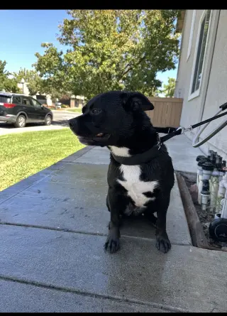 Kiki