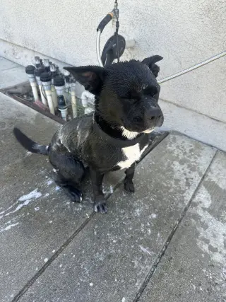 Kiki