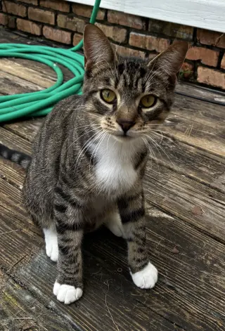 Hunter