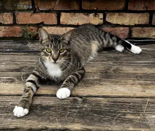 Hunter