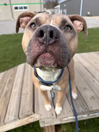 Zeus