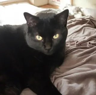 Mia