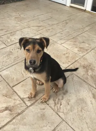 Eddie aka Jack