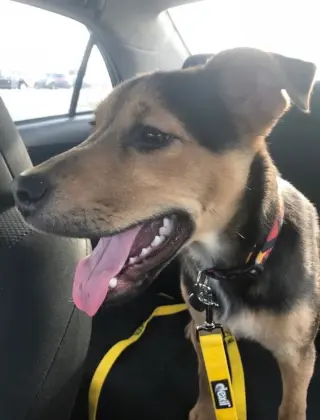 Eddie aka Jack