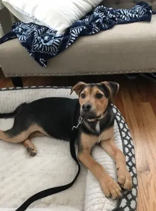 Eddie aka Jack
