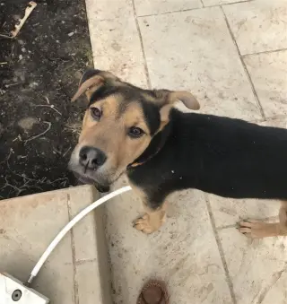 Eddie aka Jack
