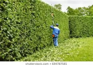 JARDINERO MANTENIMIENTOS