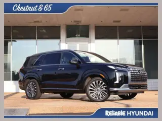 Hyundai PALISADE 2024 Calligraphy 4dr SUV