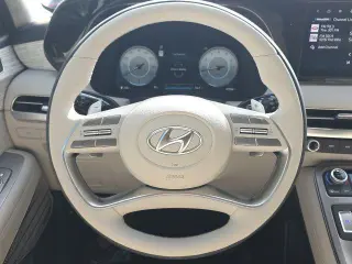 Hyundai PALISADE 2024 Calligraphy 4dr SUV