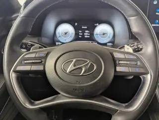 Hyundai PALISADE 2024 AWD Calligraphy 4dr SUV