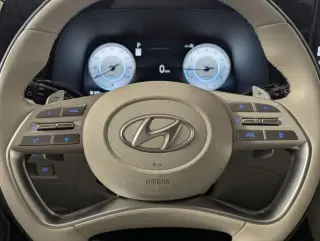 Hyundai PALISADE 2025 AWD Calligraphy 4dr SUV