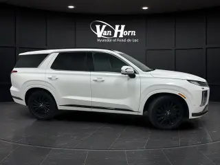 2025 Hyundai Palisade