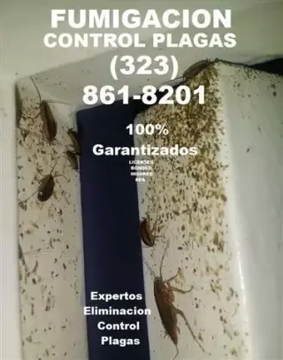 ¡SERVICIOS 100% GARANTIZADOS!