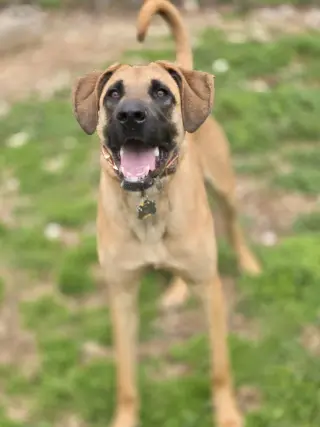 Alma