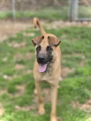 Alma