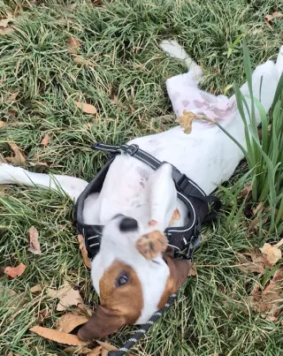 Kenny B