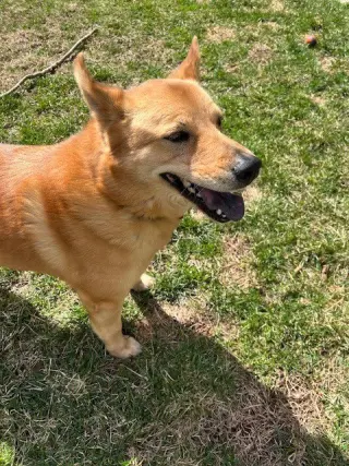 Oakley