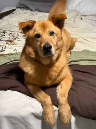 Oakley
