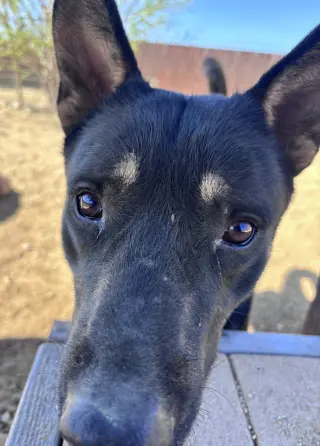 Hudson