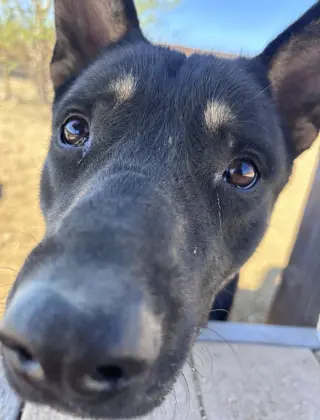 Hudson