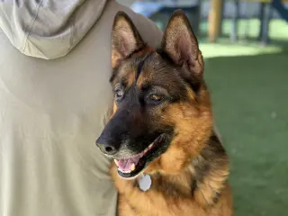 Murphy