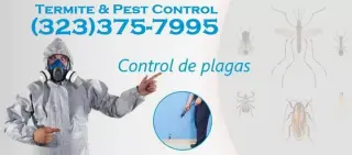 ECO-PEST-TERMITE CONTROL #2