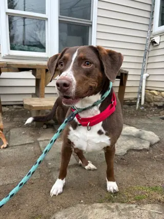 Sally aka Spunky Sully