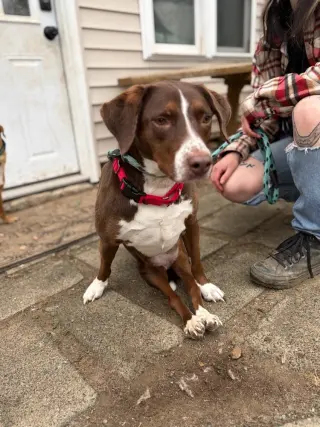 Sally aka Spunky Sully