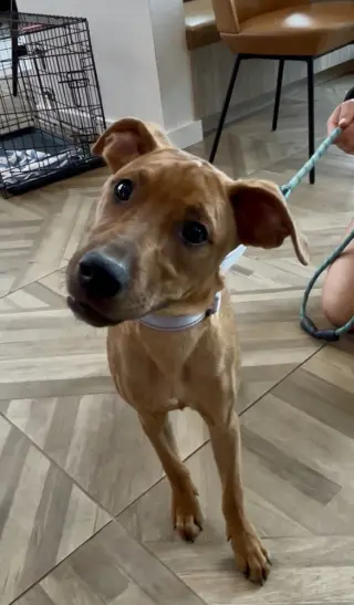 Ellie