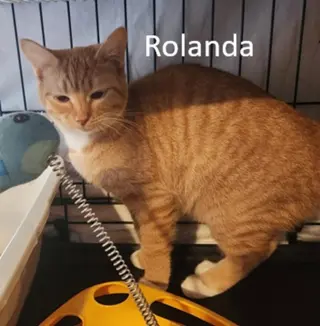 Rolanda