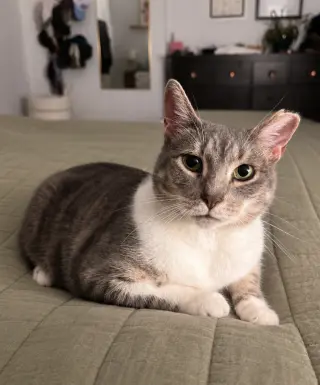 Jeannie